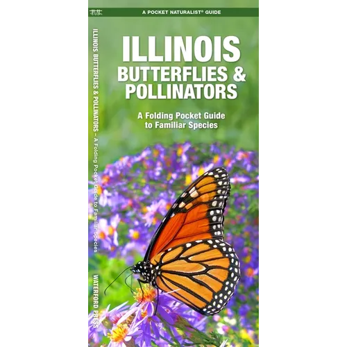 Illinois Butterflies & Pollinators: A Folding Pocket Guide to Familiar Species