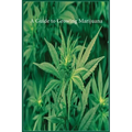 A Guide to Growing Marijuana