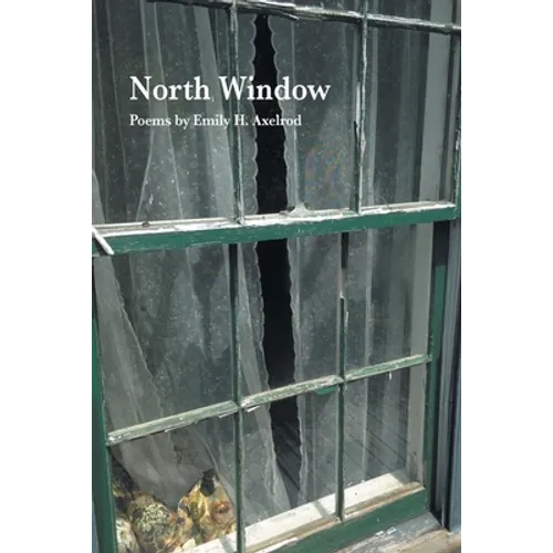 North Window