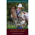 Starting Baby JAZ: A Young Horse's Journey from Halter to Saddle