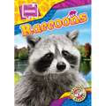 Raccoons