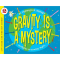 Gravity Is a Mystery