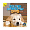 Golden Retriever Puppies