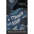 A Stranger Came Ashore