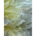 An Open Heart: The Key to Self-Love