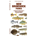 New Brunswick Fishes