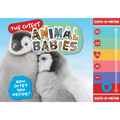 The Cutest Animal Babies: How Cute? You Decide!