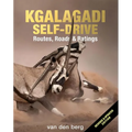 Kgalagadi Self-Drive: Routes, Roads & Ratings