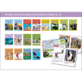 Phonic Books Dandelion World Stages 8-15 (Words with Four Sounds CVCC)
