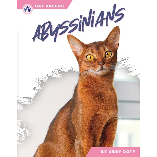 Abyssinians