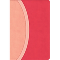 CSB Rainbow Study Bible, Pink Leathertouch (Limited Edition)