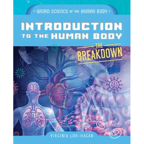 Introduction to the Human Body