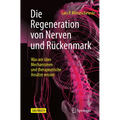 Die Regeneration Von Nerven Und Rückenmark: Was Wir Über Mechanismen Und Therapeutische Ansätze Wissen