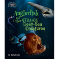 Anglerfish and Other Strange Deep-Sea Creatures