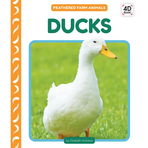 Ducks