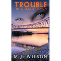 Trouble in a Small Town
