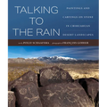Talking to the Rain: Paintings and Carvings on Stone in Chihuahuan Desert Landscapes