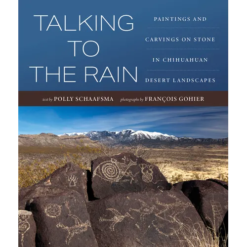 Talking to the Rain: Paintings and Carvings on Stone in Chihuahuan Desert Landscapes