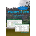 Pega How-to Guide: Exporting Data to Excel (How-to Version)