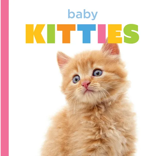 Baby Kitties