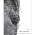 Wild Horses of Cumberland Island
