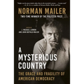 A Mysterious Country: The Grace and Fragility of American Democracy