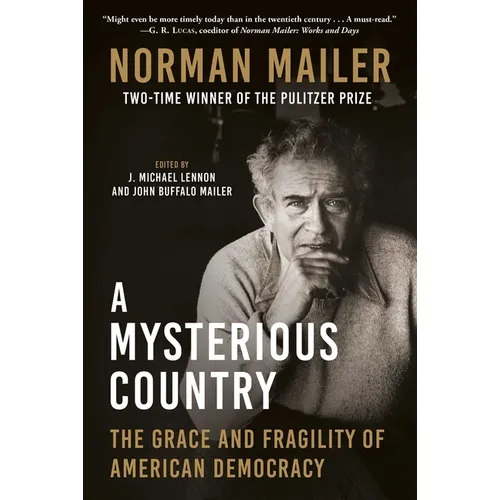 A Mysterious Country: The Grace and Fragility of American Democracy