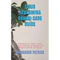 Ficus Benjamina Bonsai Care Guide: Everything You Need To Know About Planting And Raising Ficus Benjamina Bonsai Care Guide