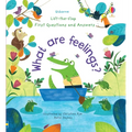 First Questions and Answers: What Are Feelings?