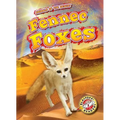 Fennec Foxes