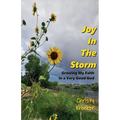 Joy In The Storm: Growing My Faith in a Very Good God