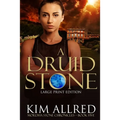 A Druid Stone Large Print: Time Travel Adventure Romance