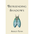 Befriending Shadows