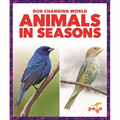 Animals in Seasons