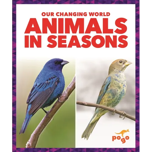 Animals in Seasons