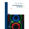 Il Bizzarro Mondo Dei Quanti