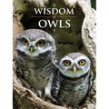 Wisdom of Owls