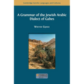 A Grammar of the Jewish Arabic Dialect of Gabes