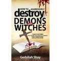 How to Aggressively Destroy Demons and Witches: 7 Days Victory Over Enemies and Agents of Darkness for Christians Using Tested Secret Weapons