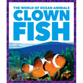 Clown Fish