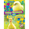 Baby Chicken or Baby Duck?