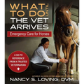 What to Do Until the Vet Arrives: Emergency Care for Horses