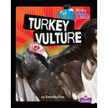 Turkey Vulture