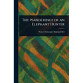 The Wanderings of an Elephant Hunter