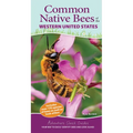 Common Native Bees of the Western United States: Your Way to Easily Identify Bees and Look-Alikes