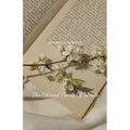 The Ethereal Poetry Of Words