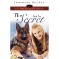 The Amy Stevens Series the Secret Book Two