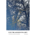 Extraordinary: How brokenness can make you extraordinary