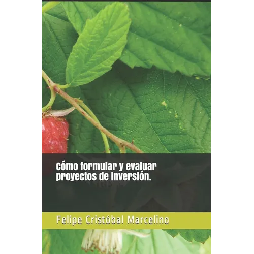 Cómo formular y evaluar proyectos de inversión.