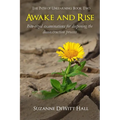 Awake and Rise: Bite-sized examinations for deepening the deconstruction process